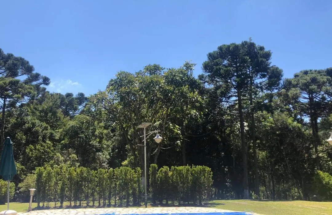 Chacara Maravilhosa Pertinho De Curitiba-1