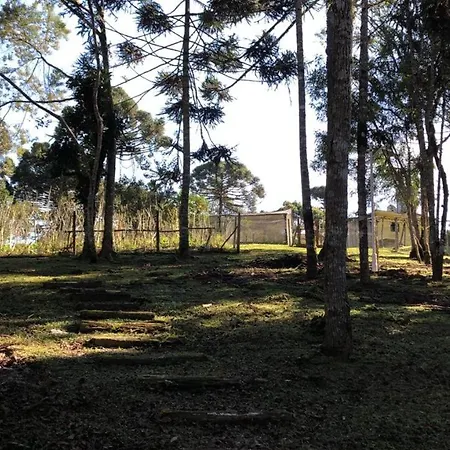 Chacara Maravilhosa Pertinho De Curitiba-3