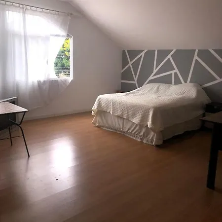 Triplex Cor De Chicletes-2